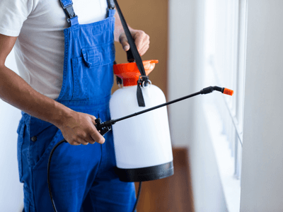 About Pre-Home Sale Inspections Cedar Mill (CDP) - pre-home sale inspections experts in Cedar Mill (CDP)